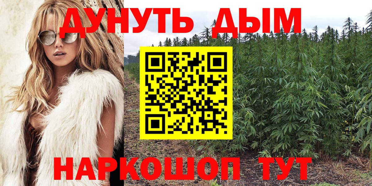 Шишки марихуана AK-47 Изобильный